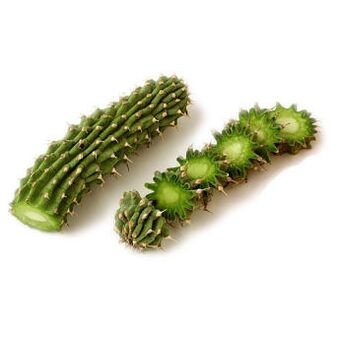 hoodia gordonia - կոմպոզիցիա Reduslim