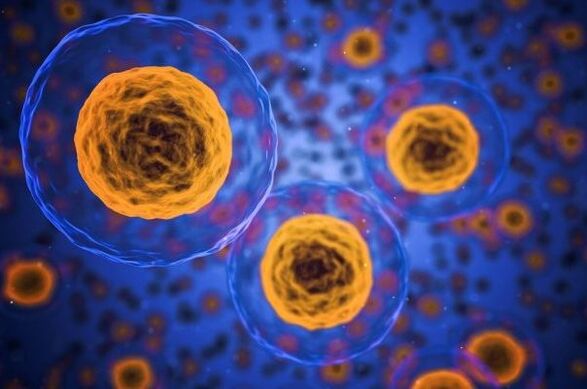 Ինչպե՞ս է տեղի ունենում քաշի կորստի գործընթացը